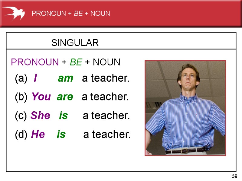 38 SINGULAR   (a)  I       am